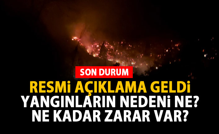 Trabzon'daki yangınların çıkış nedeni ne? Valilikten açıklama geldi!