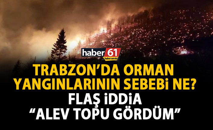 Trabzon’daki orman yangınları ile ilgili flaş iddia! Çıkış nedeni…