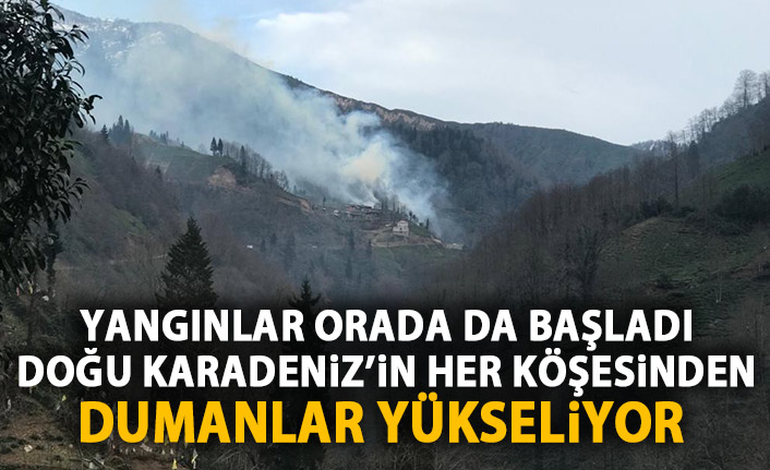 Yangınlar Rize'de de başladı!