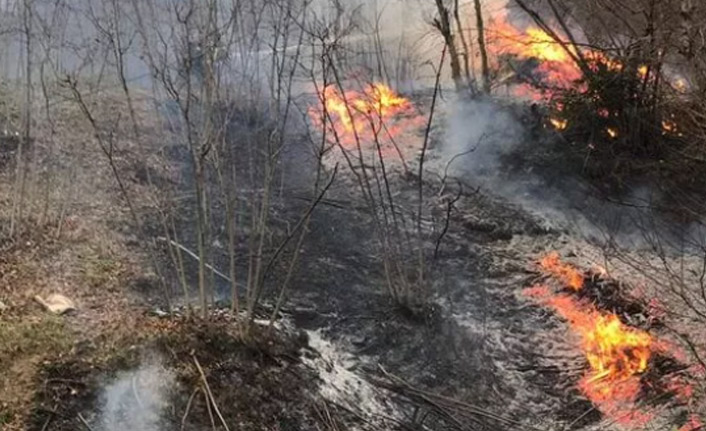 Karadeniz'deki yangınlarda son durum