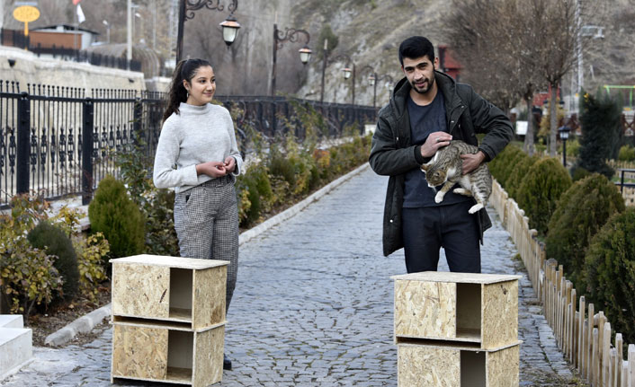 "Kediler üşümesin" diye kedi evleri yapıp tüm şehri donattılar