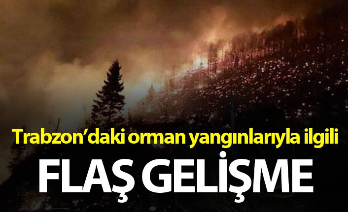 Trabzon'daki yangınlarla ilgili flaş gelişme