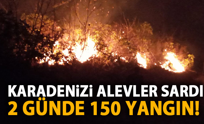 Karadeniz'i alevler sardı! 2 günde 150 yangın!