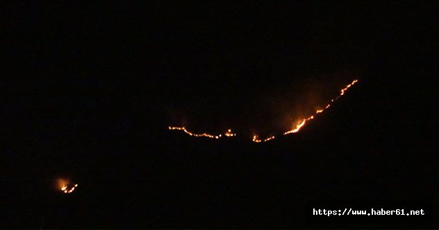 Bakan'dan yangın bölgesine gece yarısı çıkarması