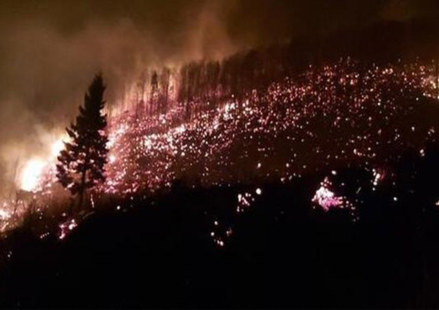 Karadeniz'deki orman yangınlarında 'kuraklık' etkisi