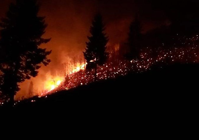 Trabzon'da orman yangınına sebep olan Afgan sınır dışı edildi