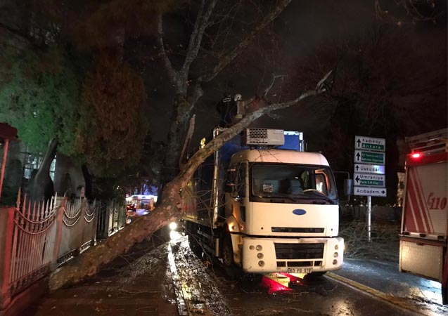 Üsküdar'da korkutan kaza kamyon ağaca çarptı