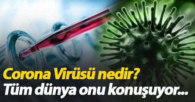 Corona Virüsü nedir? Corona virüsü nasıl bulaşır ve belirtileri nelerdir?