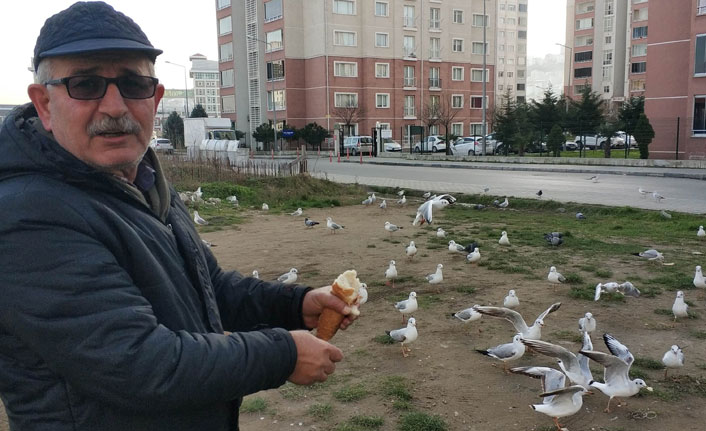 Her sabah ilk işi martıları doyurmak