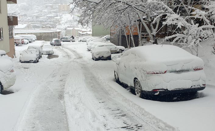 Gümüşhane'de kar esareti