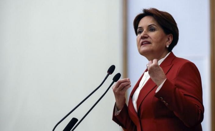 Meral Akşener'in uçağında panik