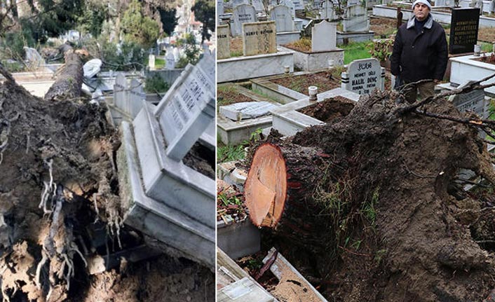 Ordu'da fırtınada devrilen ağaçlar mezarlara zarar verdi