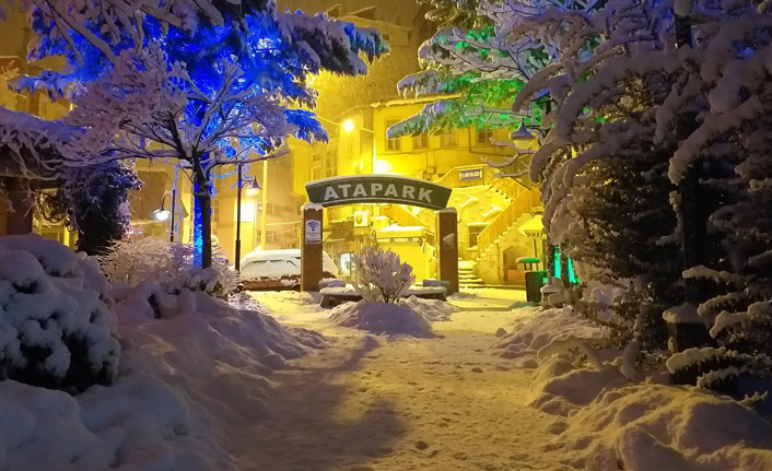 Artvin beyaza büründü