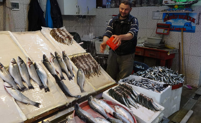 Trabzon'da yerli balık kalmadı