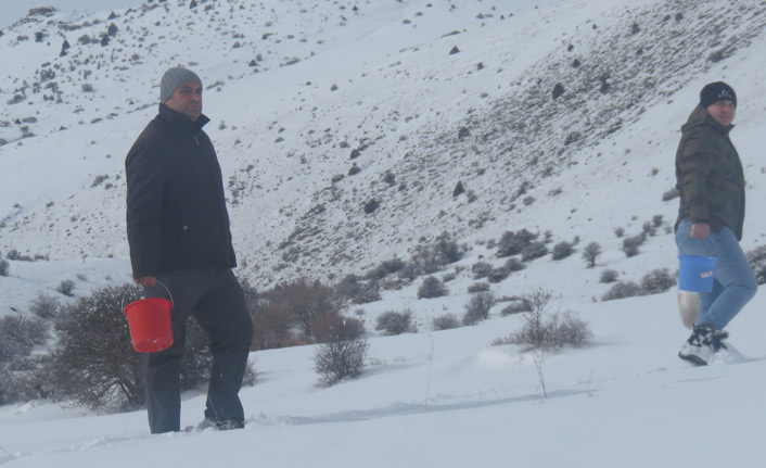 Bayburt'ta yaban hayvanları unutulmadı