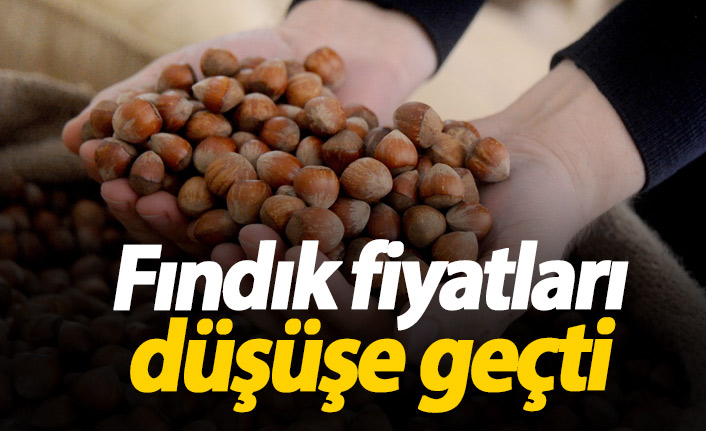 Fındık fiyatları düşüşe geçti