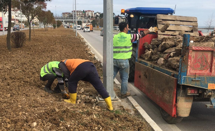 Ordu bahara hazırlanıyor