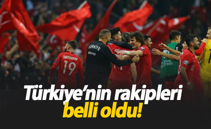 UEFA Uluslar Ligi'nde Türkiye'nin rakipleri belli oldu