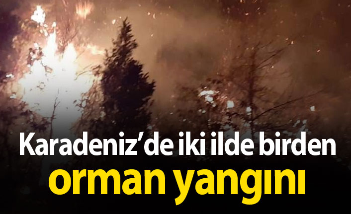 Karadeniz'de iki ilde orman yangını