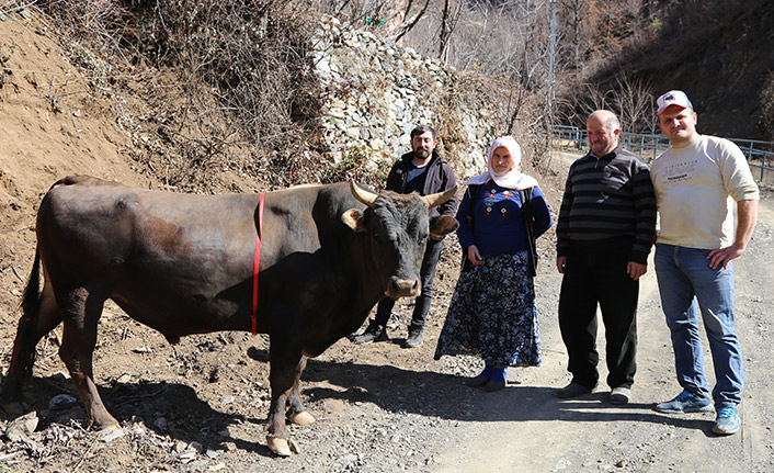  Bu boğa ismi ile de korkutuyor