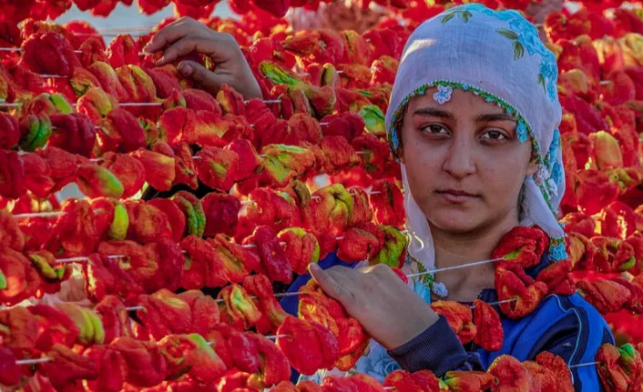 Türkiye'de kadınların yüzde 41.3'ü kayıt dışı çalışıyor