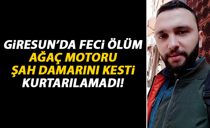 Giresun'da feci ölüm! Ağaç motoru şah damarını kesti!