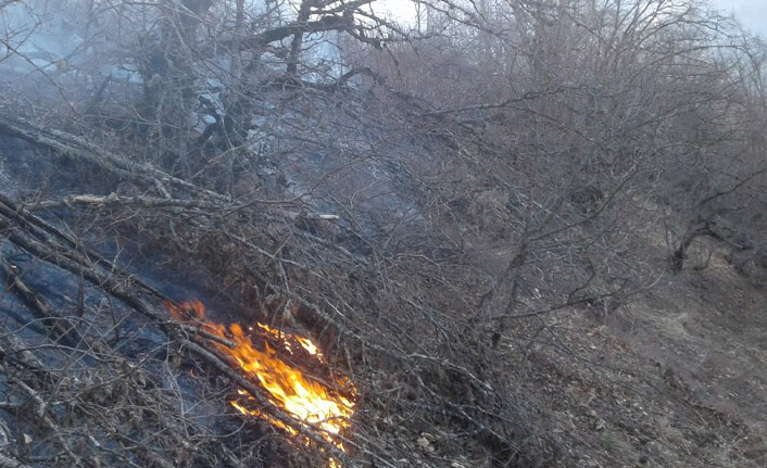 Ordu’da orman yangını kontrol altında