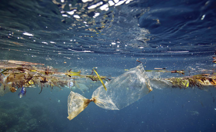 Denizler plastik tehlikesi altında