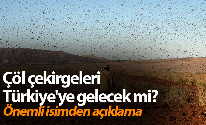 Çöl çekirgeleri Türkiye'ye gelecek mi? Uzmanından açıklama