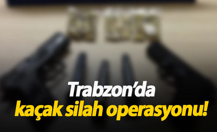 Trabzon'da kaçak silah operasyonu