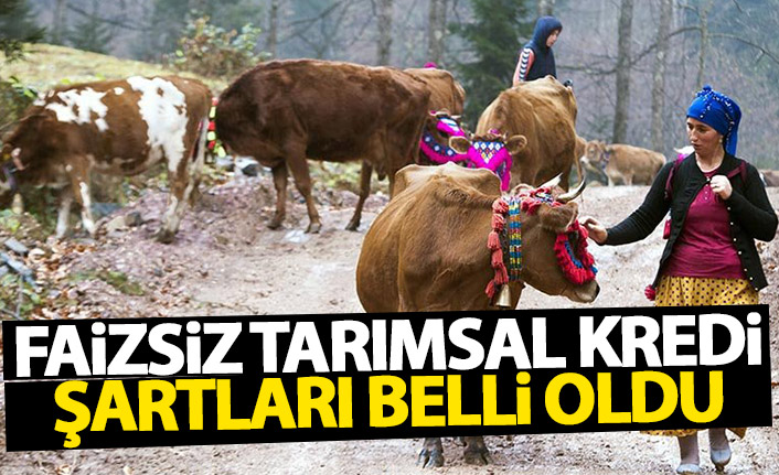 Faizsiz ve düzük faizli tarımsal kredilerin eseaları belli oldu