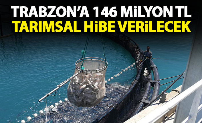 Trabzon'da 14 milyon 724 bin TL hibe verilecek