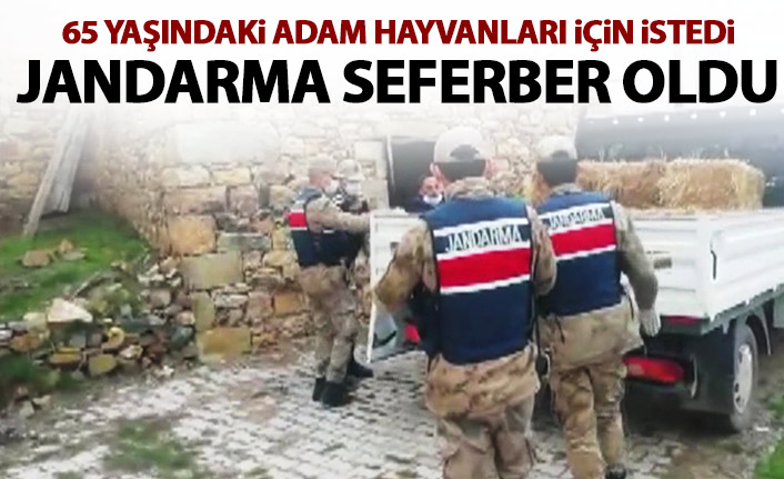 Hayvanları için saman istedi Jandarma harekete geçti