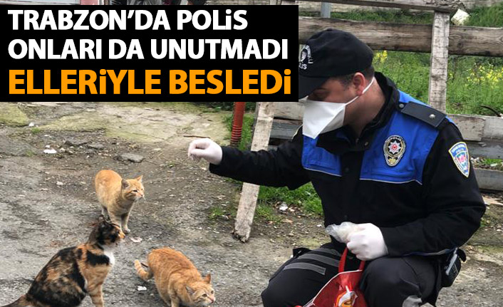 Trabzon'da polis sokak hayvanlarını da unutmadı!