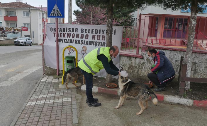 Trabzon'da sahipsiz hayvanlar unutulmuyor