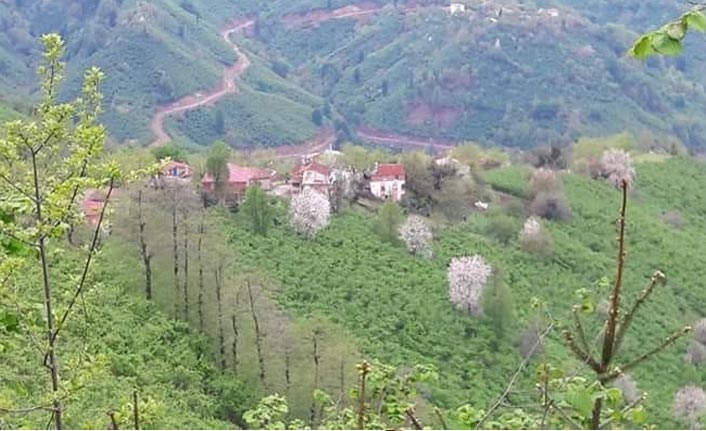 Ordu'da bir karantina daha