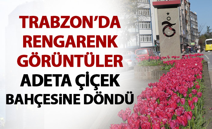 Trabzon çiçek bahçesine döndü