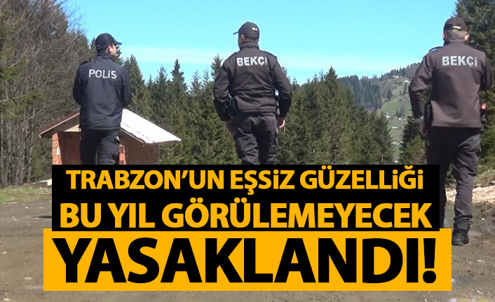 Trabzon'da yılda bir ay görülen eşsiz güzelliğe ziyaretçi yasağı