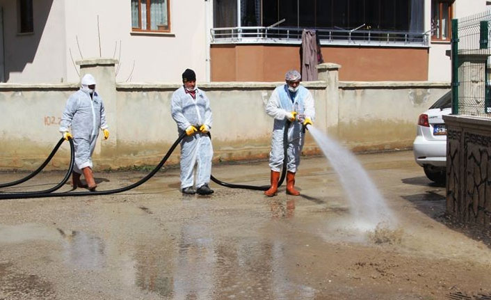 Bayburt'ta sterilizasyon çalışmaları devam ediyor!