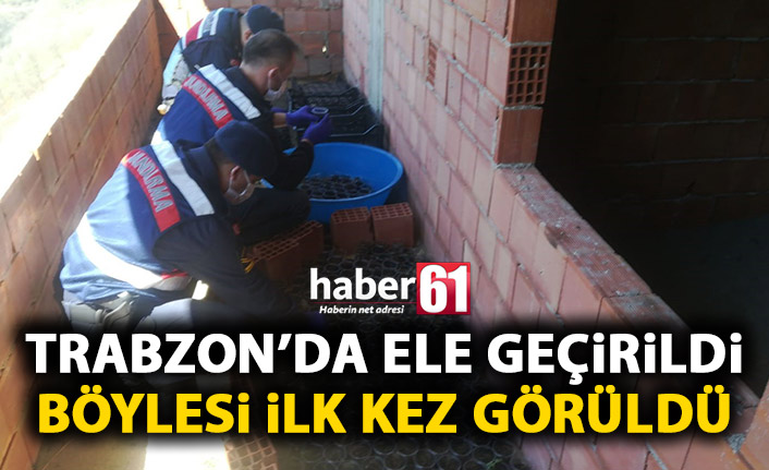 Böylesi ilk kez görüldü! Trabzon'da yüzlerce bardak içerisinde uyuşturucu