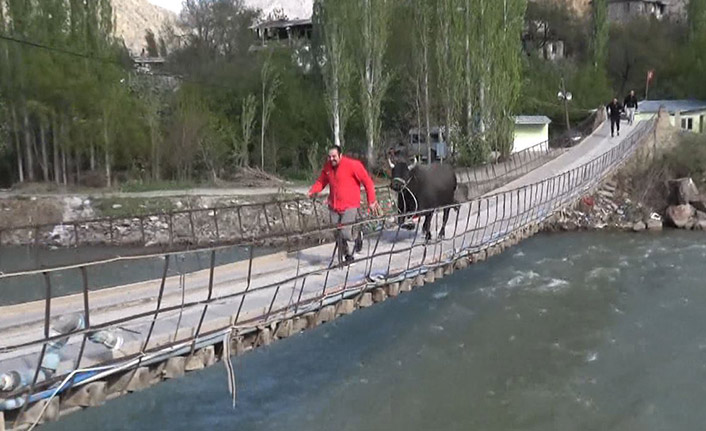 Boğası ile kampa girdi salgının bitmesini bekliyor