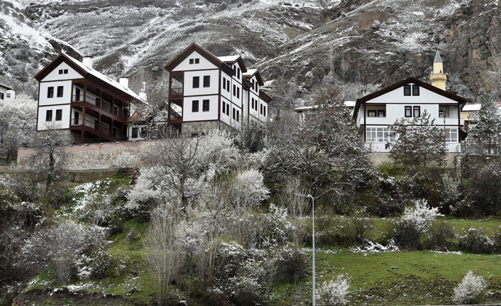 Gümüşhane'de zirai don oldu