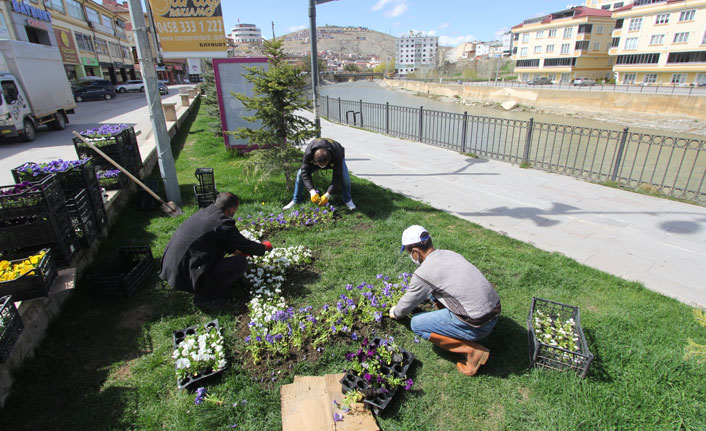 Park ve bahçelere 50 bin çiçek dikildi