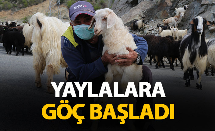 Yaylalara göç başladı