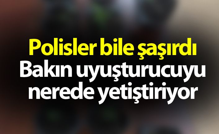 Polisler bile şaşırdı Bakın uyuşturucuyu nerede yetiştiriyor