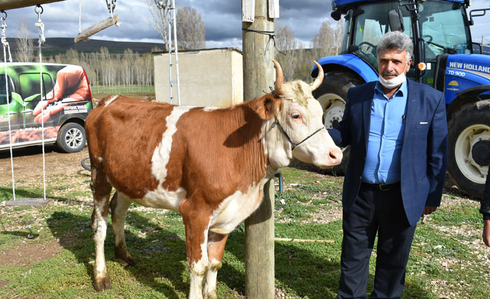 Milli dayanışma kampanyasına düvesini bağışladı