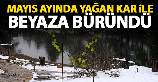 Mayıs ayında yağan karla beyaza büründü