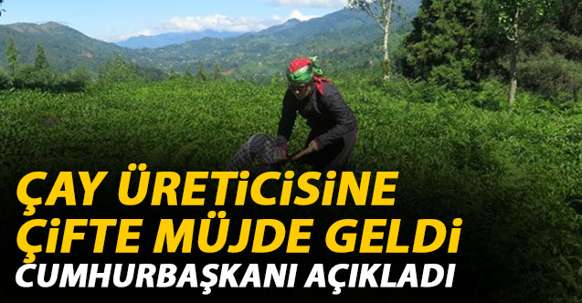 Son Dakika! Çay üreticilerine çifte müjde!