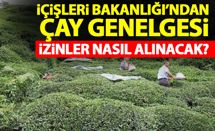 İçişleri Bakanlığı'ndan çay genelgesi! İzinler nasıl alınacak?