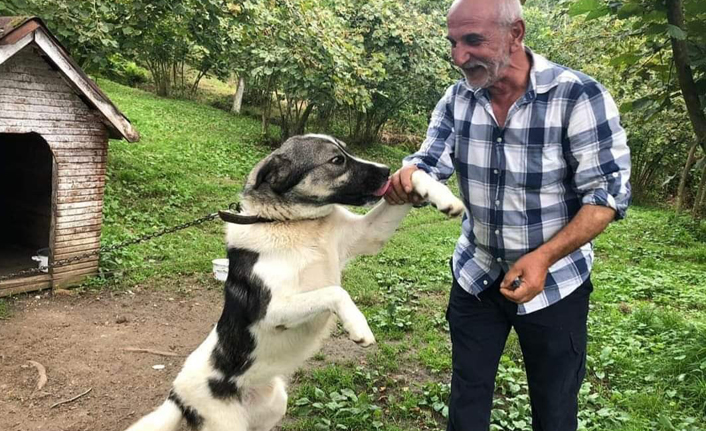 Trabzon'da bir kişi yayladaki evinde ölü bulundu